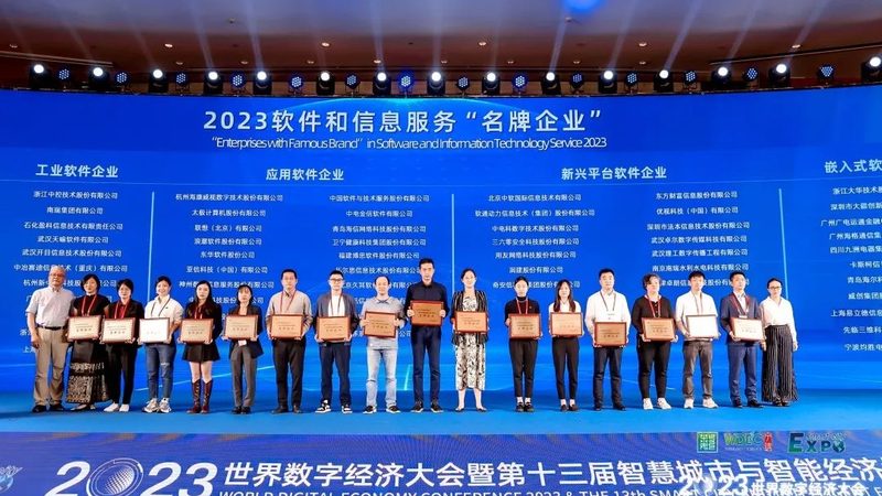 定制开发软件：深入了解其利与弊