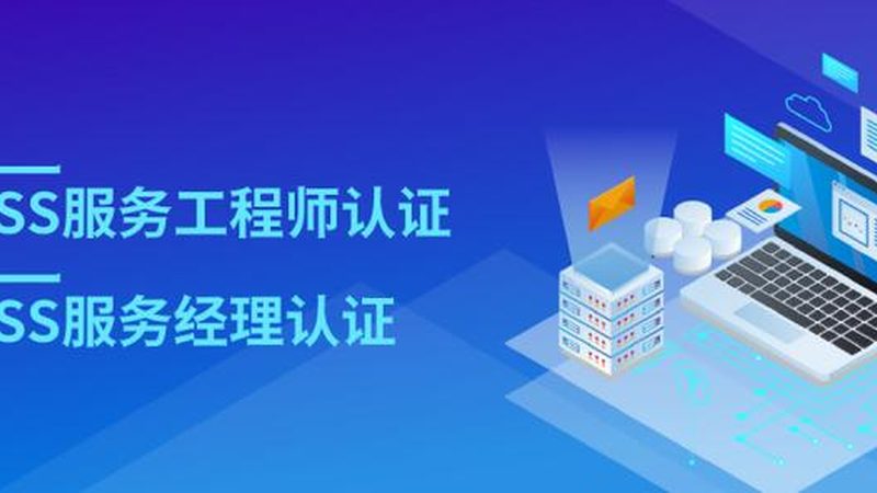 it外包公司哪家性价比高